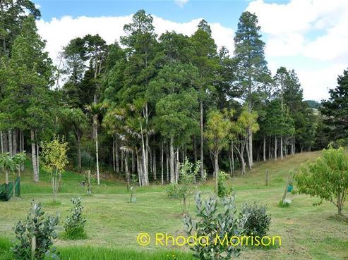 49 The Pines Road, Paparoa