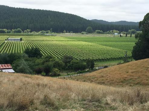338 Hill Road, Eskdale