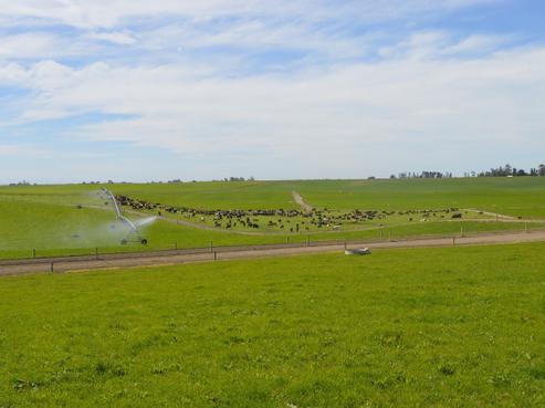 531 Waihao Back Road, Waimate