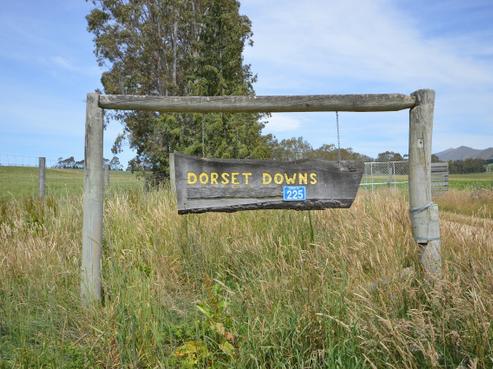 336 Colliers Road, Maungati