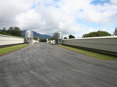 157B Wairakau Road, Te Aroha