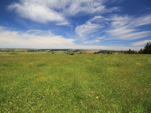 376 Opanake Road, Dargaville Surrounds
