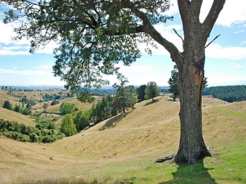 699 Neudorf Road, Upper Moutere