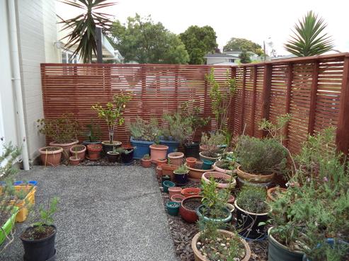 3 Elm Street, Waiuku