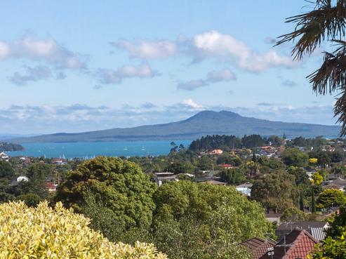 39 Bradbury Road, Botany Downs