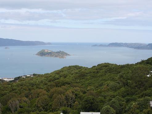 288 Maungaraki Road, Maungaraki