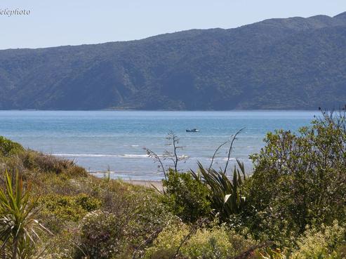 155A Manly Street, Paraparaumu Beach