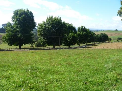 168B Henry Watson Road, Matamata