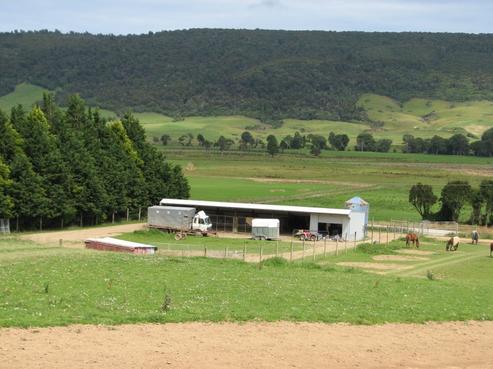 424 Dewe Road, Catlins Surrounds