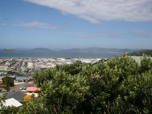 48 Mulberry Street, Maungaraki