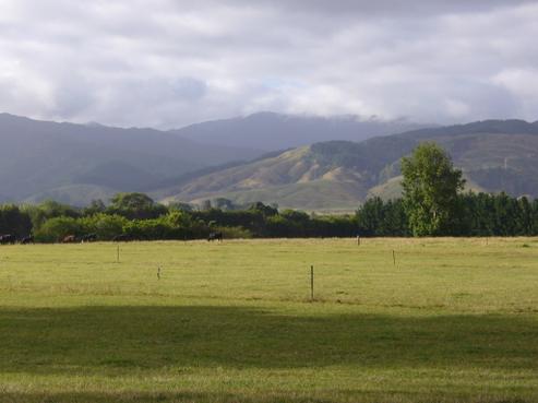 213D Muhunoa East Road, Ohau