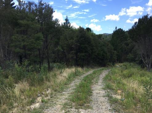 23 Ota Point Road, Whangaroa