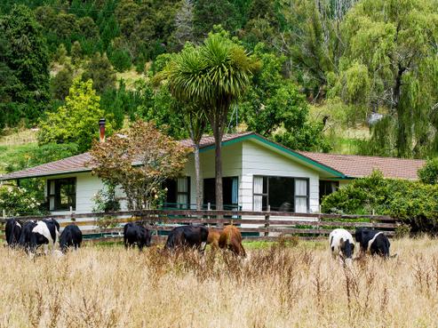 322 Bruce Road, Whatatutu