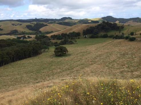 86 Orapiu Road, Waiheke Island