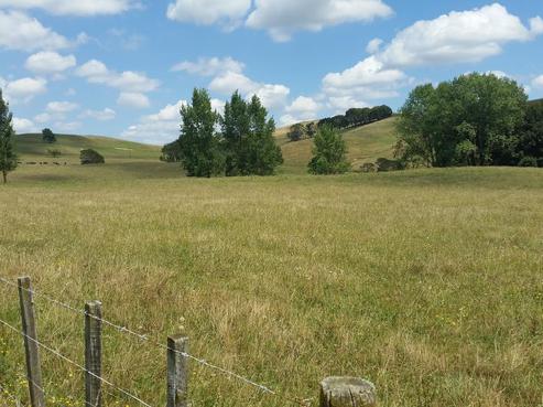253 Old Hill Road, Tahuna