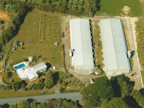 87 Motu Road, Kumeu