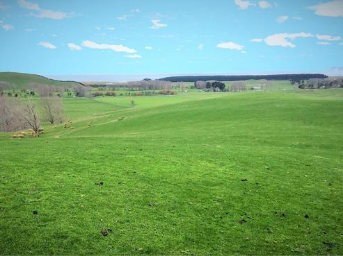 1845 Blackhead Road, Central Hawkes Bay Coastal