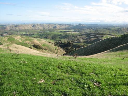 268 Apley Road, Puketapu