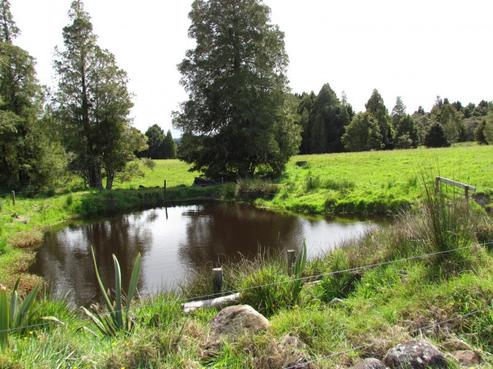 105 Saward Road, Okaihau