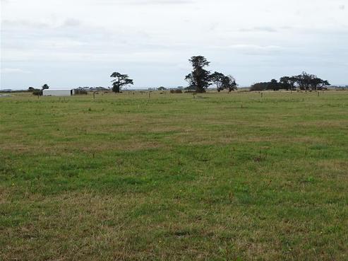 1597 Skeet Road, Manaia