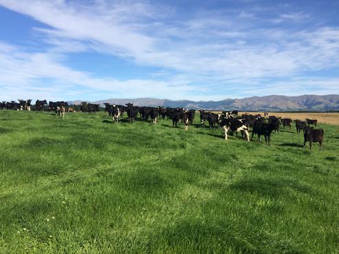 427 Woolshed Valley Road, Otaio