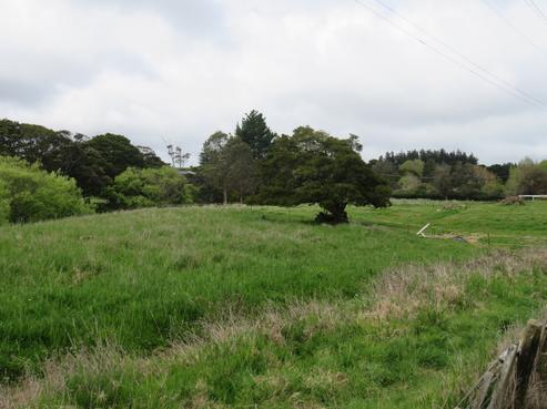 10 Cane Road, Waimauku