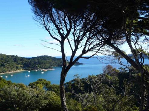 168 Shoal Bay Road, Great Barrier Island