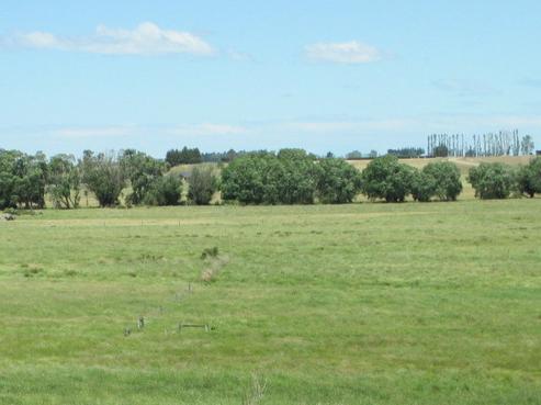 68 Patersons Road, Cust