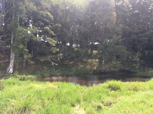 126 Pebble Brook Road, Waitoki