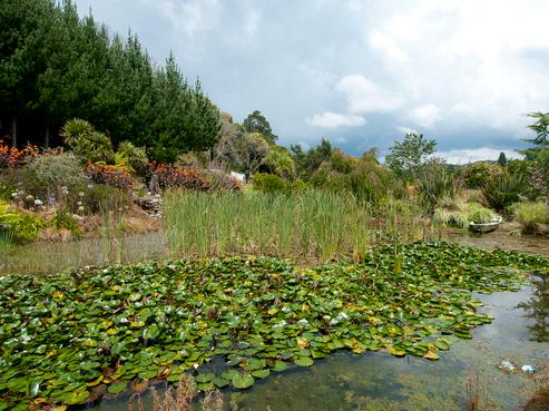 55 Clarke Road, Te Puna