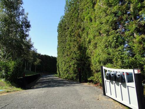 74C Oliver Road, Wairoa