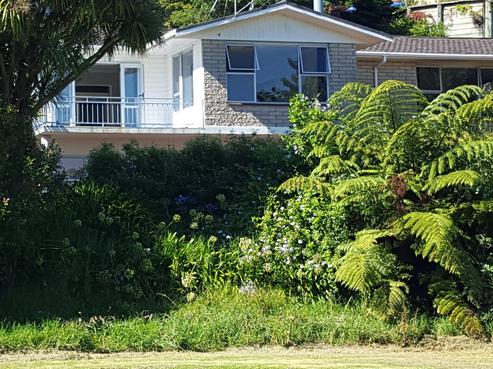 239C Carrington Street, Vogeltown