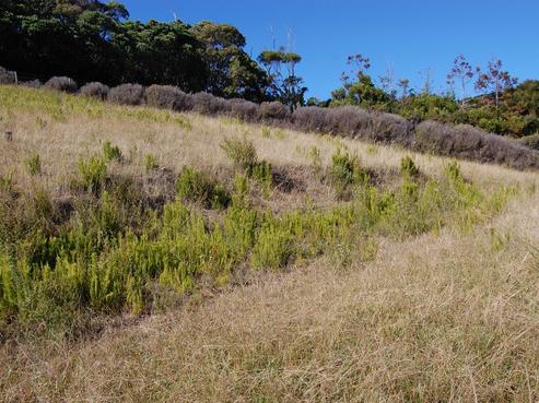 534 Medland Road, Great Barrier Island