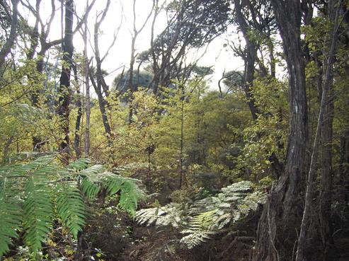 396D Shoal Bay Road, Great Barrier Island