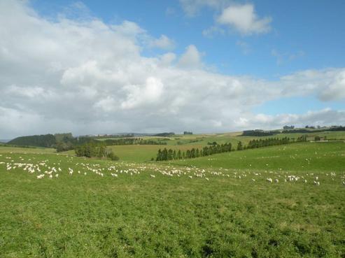 192 Shanks Road, West Otago Surrounds