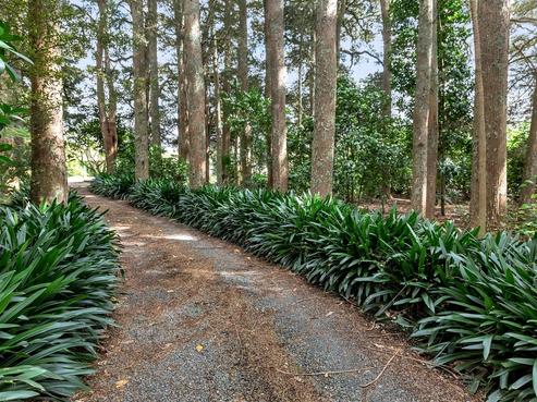 158 Apotu Road, Kauri