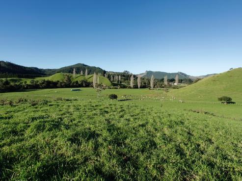 1227 Tairua Road, Whangamata