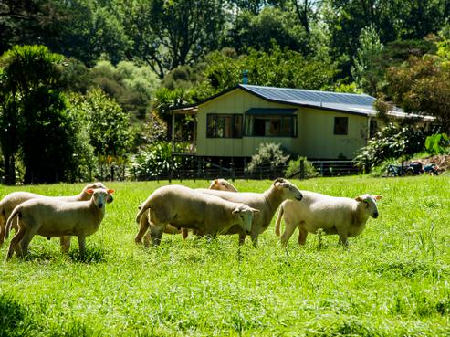 1441 Waimata Valley Road, Pouawa