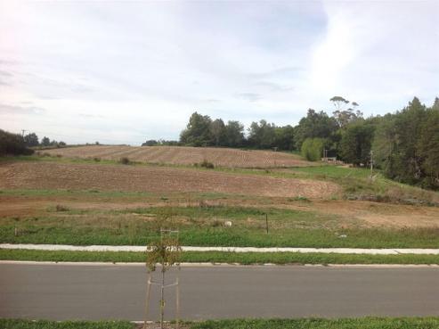 24 Blackwood Crescent, Glenview