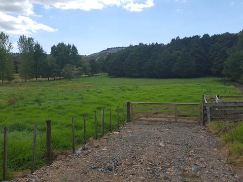 1241 Whangaripo Valley Road, Whangaripo