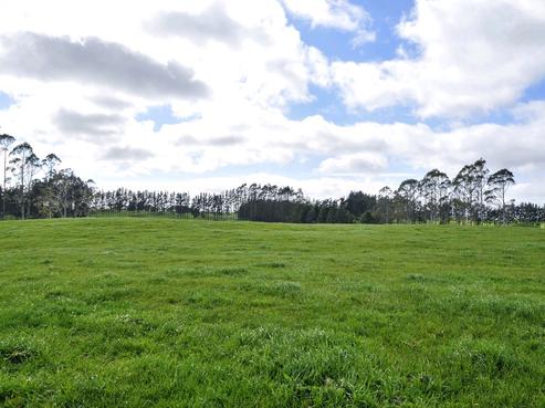 180 Tauranga Direct Road, Hamurana
