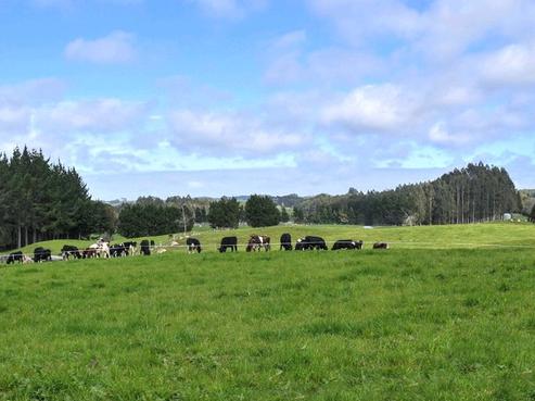 208 Tauranga Direct Road, Hamurana