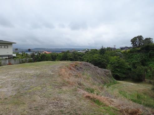 18 Shepherd Road, Waipahihi