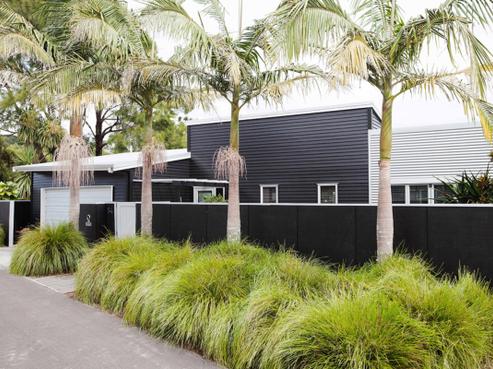 54 Carrington Street, Lower Vogeltown