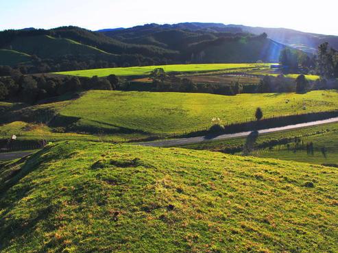 821 Tiniroto Road, Ruakituri