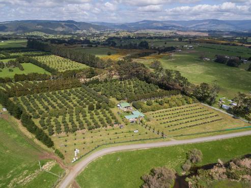 52 Browns Road, Kaikohe