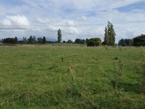 265 Pokuru Road, Te Awamutu