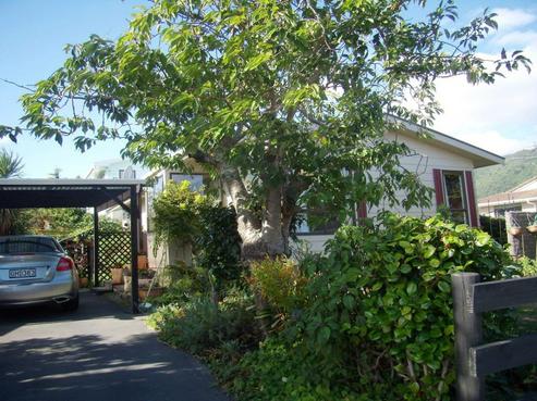 49 Belvedere Avenue, Waikanae
