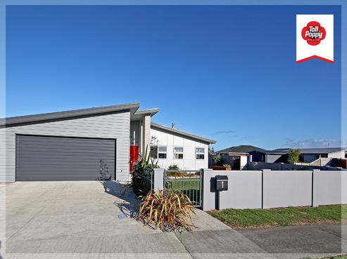 2 Godwit Court, Foxton Beach