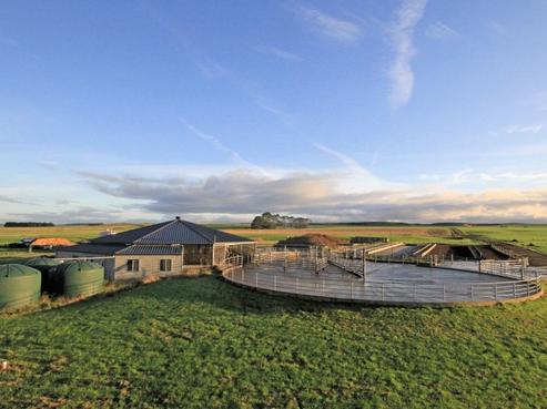 4386 Rangatahi Road, Ratana